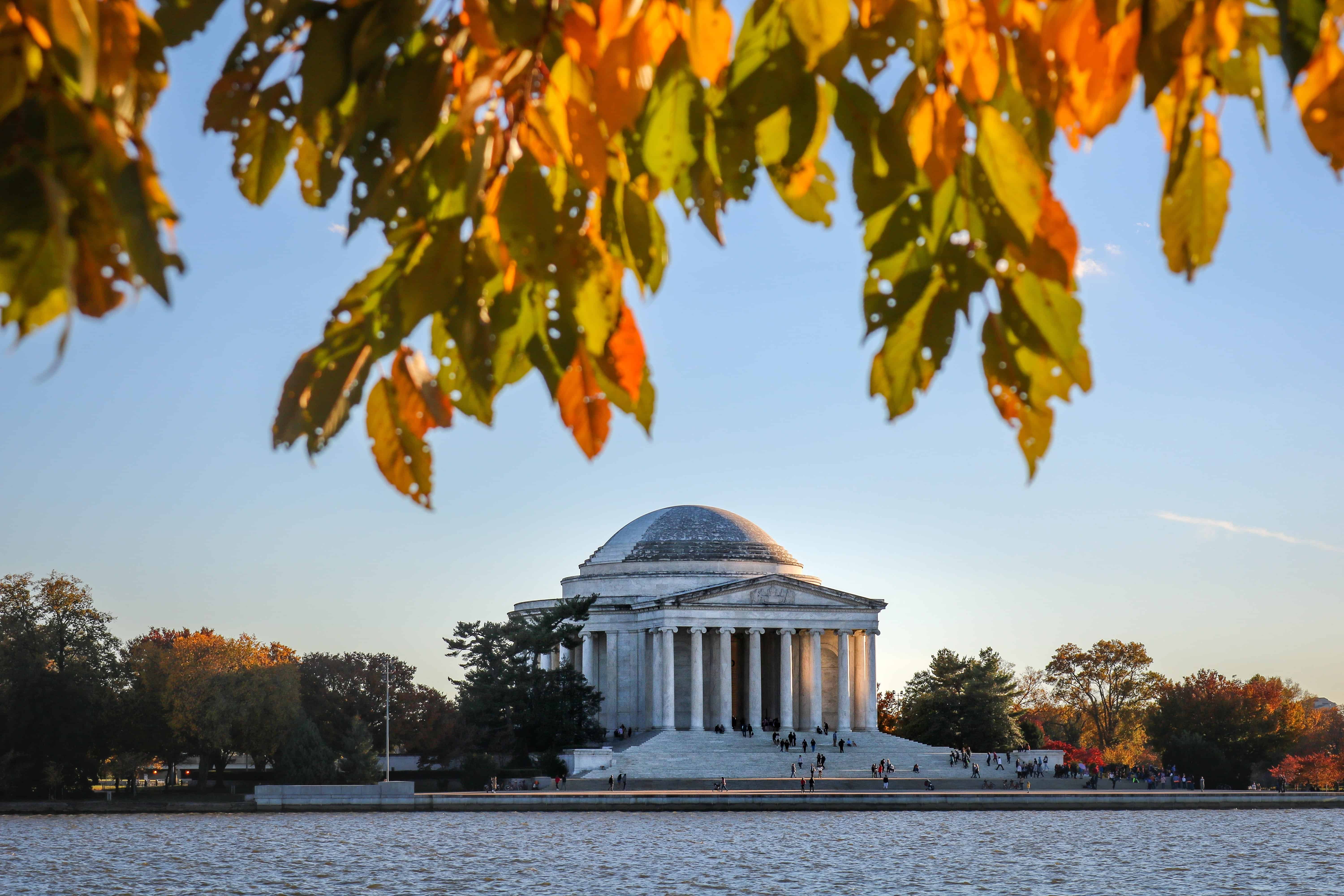 Fall DC image
